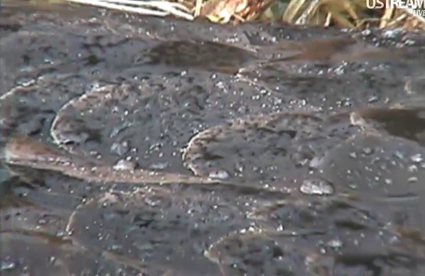 ScreenHunter_03 Mar. 22 17.29.jpg